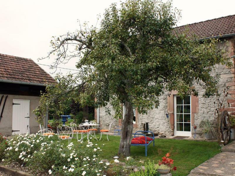 Vila La Grange Au Tracteur Saulcy-sur-Meurthe Exteriér fotografie
